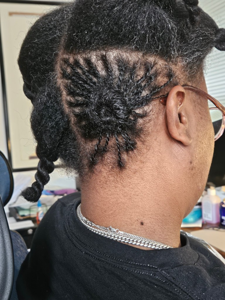 First section of my DIY microlocs showing my very grey mixed hair. 